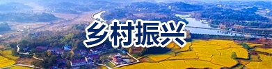 鄉(xiāng)村振興